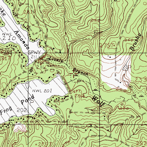 Topographic Map of Frog Pond Lake Dam, TX