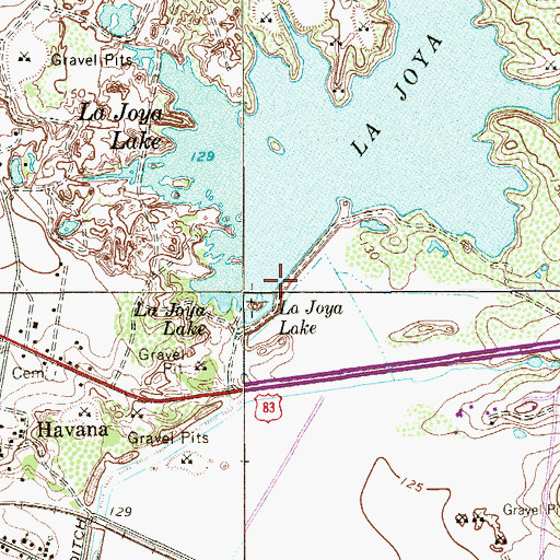 Topographic Map of La Joya Dam, TX