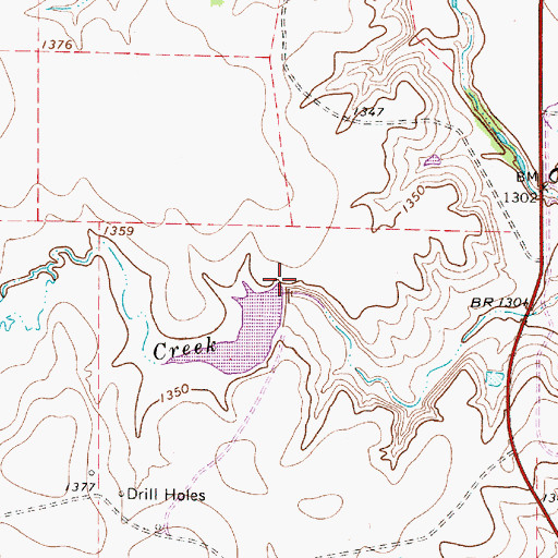 Topographic Map of Brown Lake Dam, TX