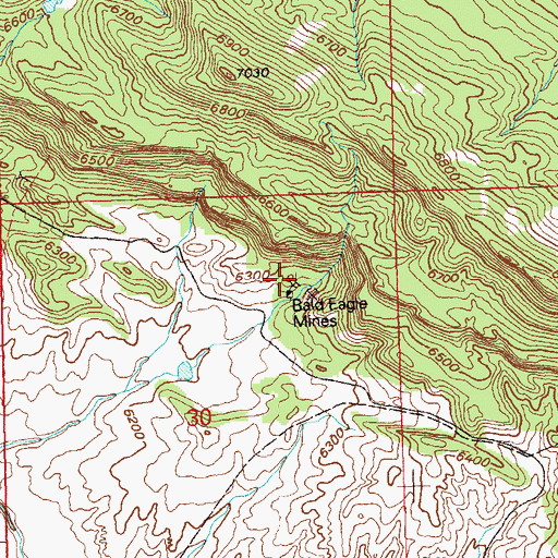 Topographic Map of Bald Eagle Mines, CO