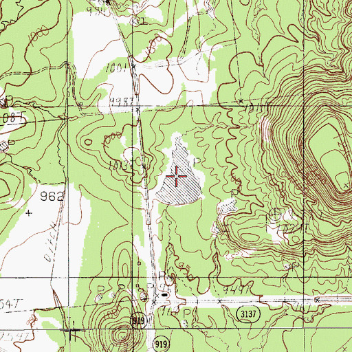 Topographic Map of Ringo Lake, TX
