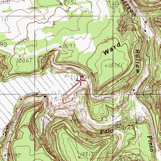 Topographic Map of Lake Palo Pinto Dam, TX