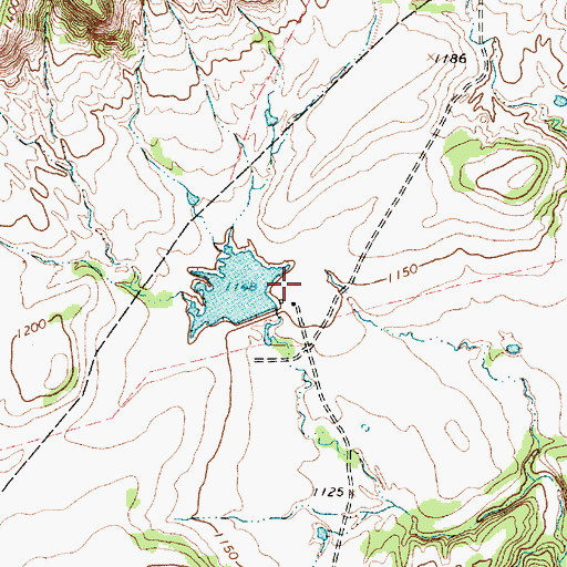 Topographic Map of Double Gates Lake, TX