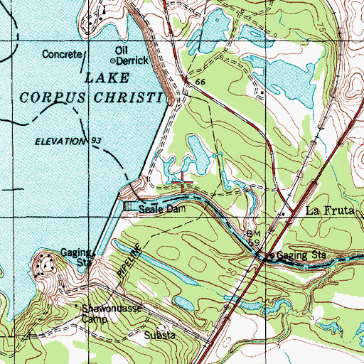 Topographic Map of Wesley E Seale Dam, TX
