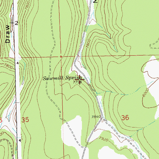 Topographic Map of Sawmill Spring, CO