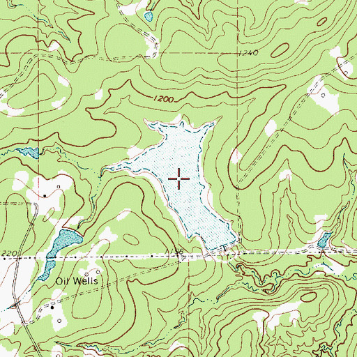 Topographic Map of Manning Vick Lake Number 2, TX