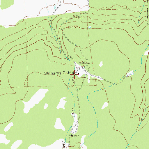 Topographic Map of Williams Cabin, CO