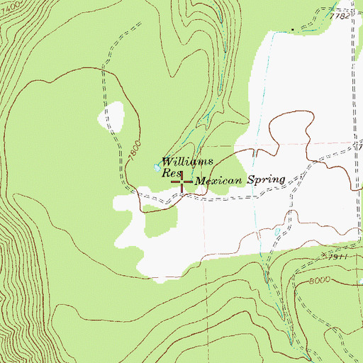 Topographic Map of Mexican Spring, CO
