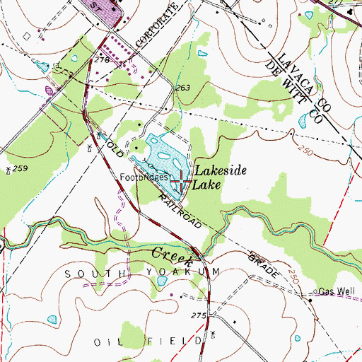 Topographic Map of Florine P Kaiser Dam, TX
