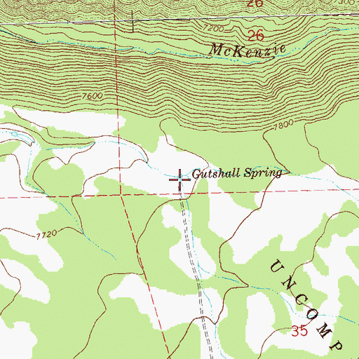 Topographic Map of Gutshall Spring, CO
