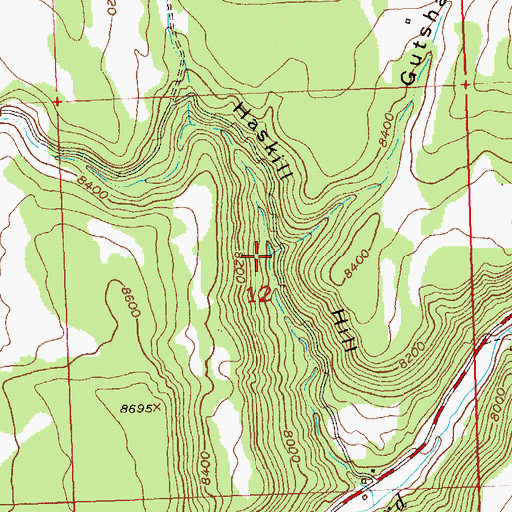 Topographic Map of Gutshall Gulch, CO