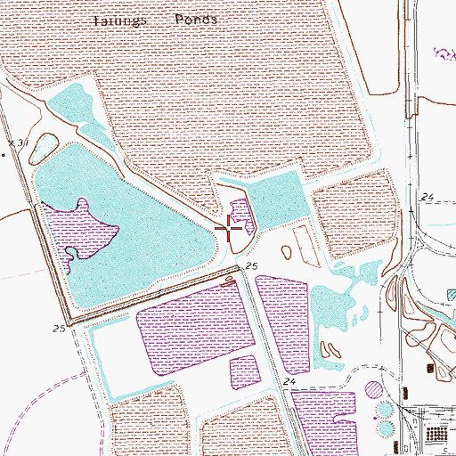Topographic Map of Reynolds Metal Company Reservoir Dam, TX