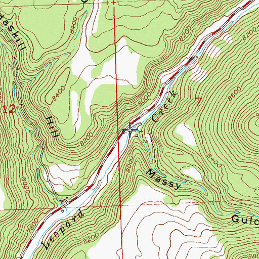 Topographic Map of Massy Gulch, CO