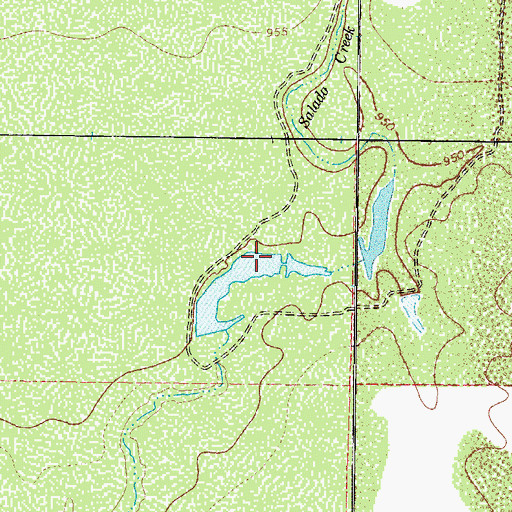 Topographic Map of Summers Lake, TX