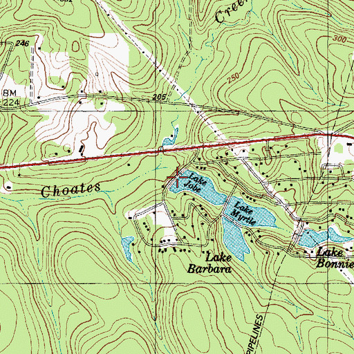 Topographic Map of Lake Jobe, TX