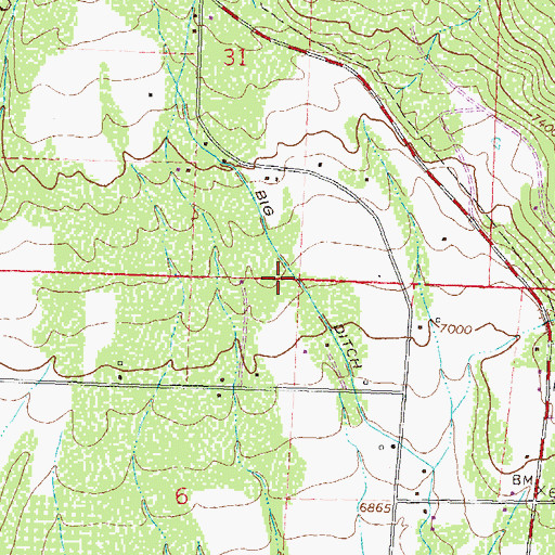 Topographic Map of Big Ditch, CO