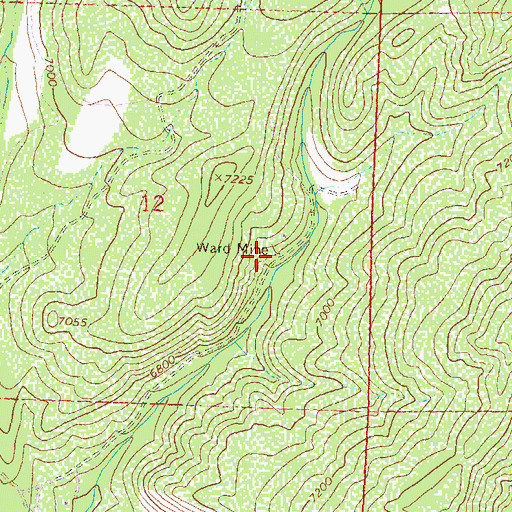 Topographic Map of Ward Mine, CO