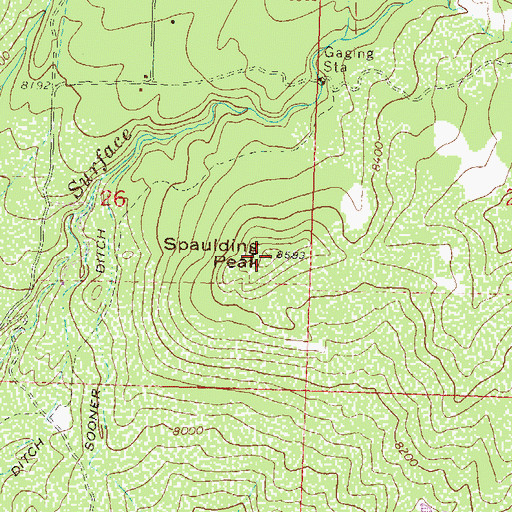 Topographic Map of Spaulding Peak, CO