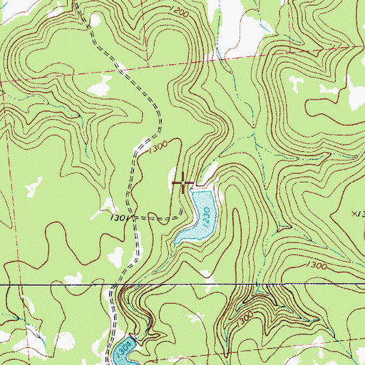 Topographic Map of Petes Pride Lake Dam, TX