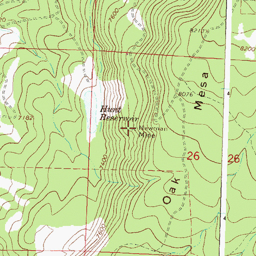 Topographic Map of Newman Mine, CO