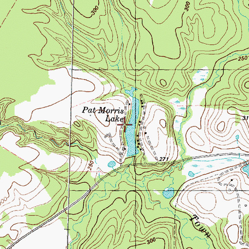 Topographic Map of Pat Morris Dam, TX