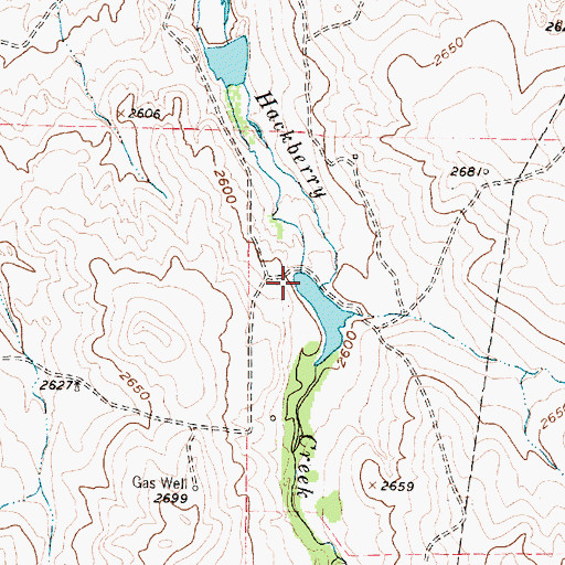 Topographic Map of R D Back Dam, TX