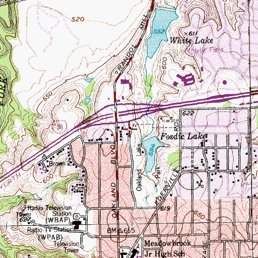 Topographic Map of Fosdic Lake Dam, TX