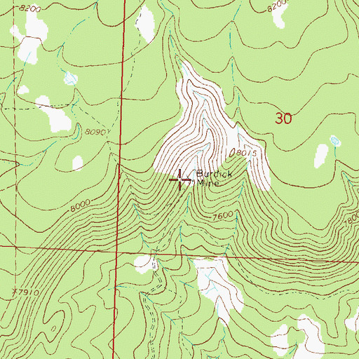 Topographic Map of Burdick Mine, CO