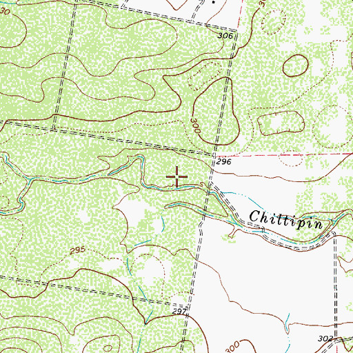 Topographic Map of Soil Conservation Service 4 Dam, TX