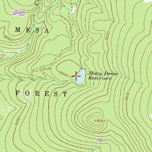 Topographic Map of Sheep Drive Reservoir, CO
