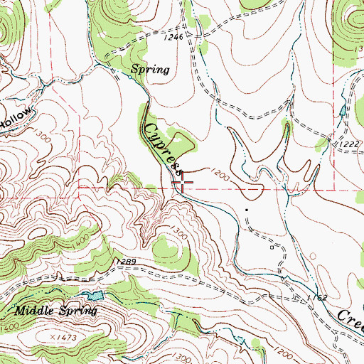 Topographic Map of New Langford Lake Dam, TX