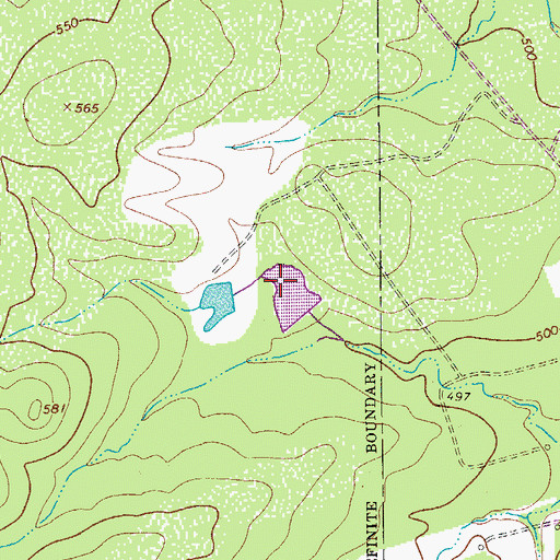 Topographic Map of County Line Tank, TX