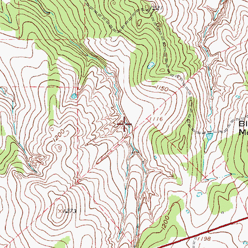 Topographic Map of Soil Conservation Service Debris Basin 116 Dam, TX