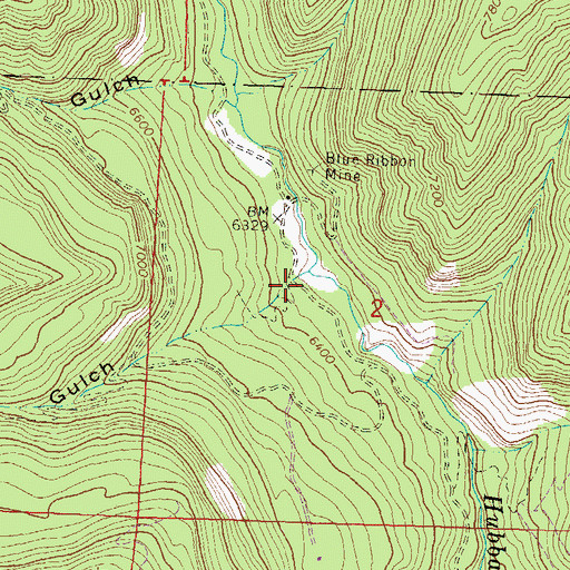 Topographic Map of Freeman Gulch, CO
