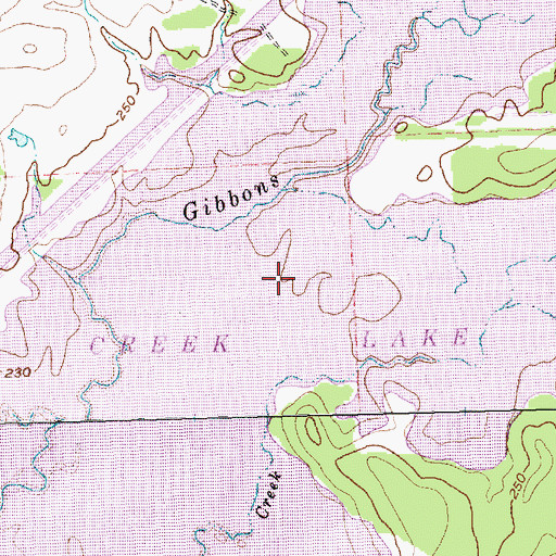 Topographic Map of Gibbons Creek Reservoir, TX