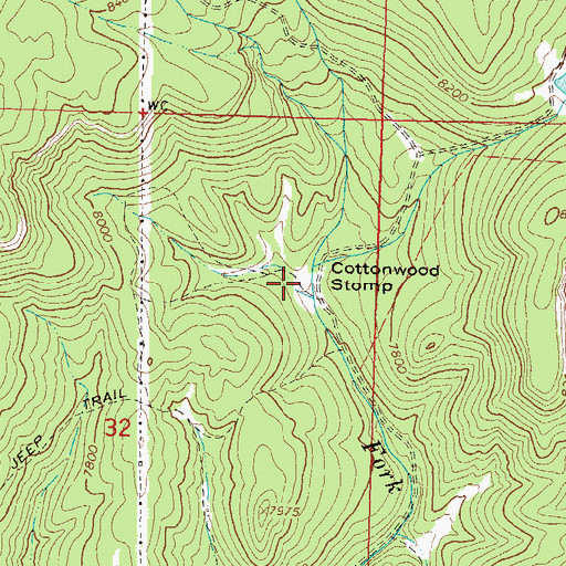 Topographic Map of Cottonwood Stomp, CO