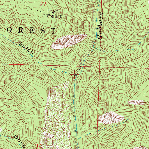 Topographic Map of Iron Point Gulch, CO