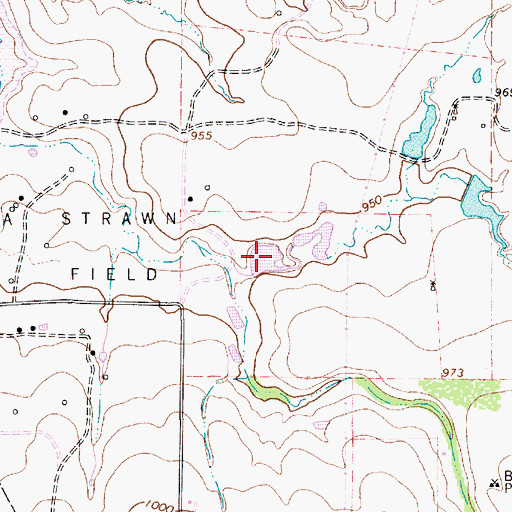 Topographic Map of W I Howard Lake, TX