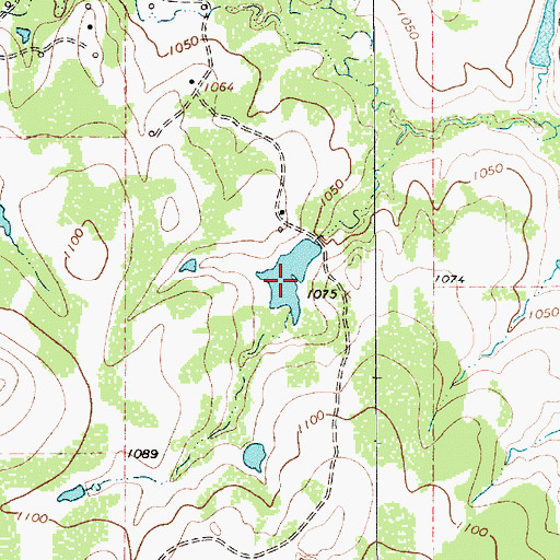 Topographic Map of Antelope Field Lake, TX