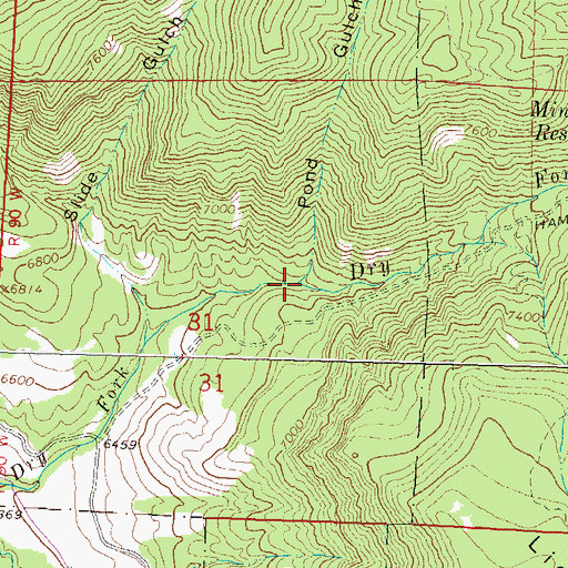 Topographic Map of Pond Gulch, CO