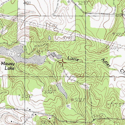 Topographic Map of Johns Lake Dam, TX