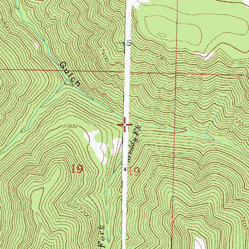Topographic Map of Muddy Fork, CO