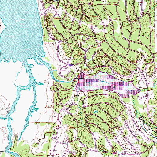 Topographic Map of Leisure Lake Dam, TX