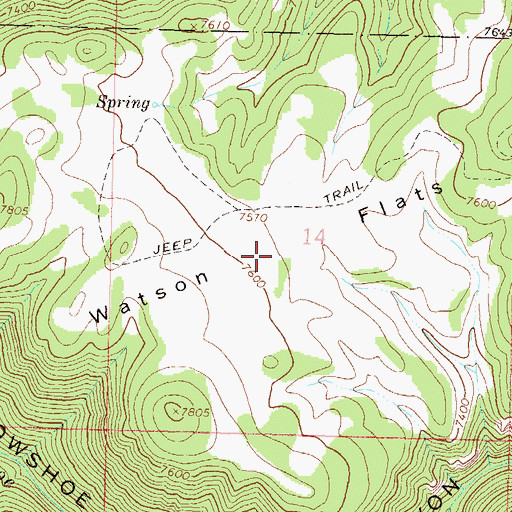 Topographic Map of Watson Flats, CO