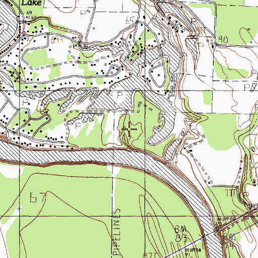 Topographic Map of Oneal Lake Dam, TX