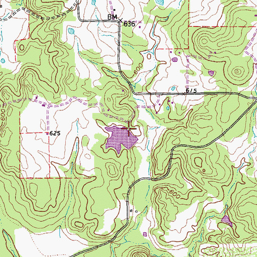 Topographic Map of McCallum Lake Dam, TX