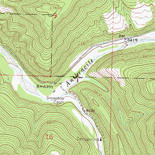 Topographic Map of Snowshoe Creek, CO