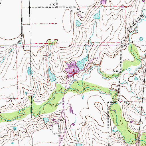 Topographic Map of Shiff Lake Dam, TX
