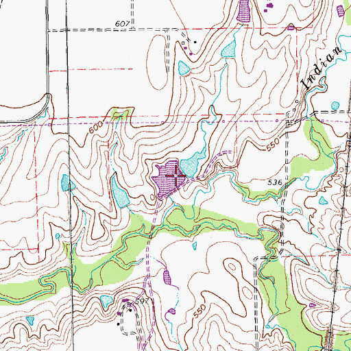 Topographic Map of Shiff Lake, TX