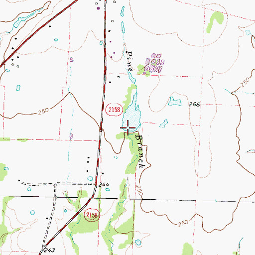 Topographic Map of Slaughter Lake Dam, TX